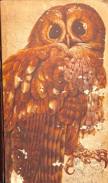 El Libro de las Aves de España
