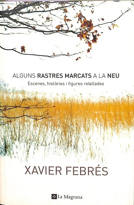 Alguns Rastres Marcats a la Neu