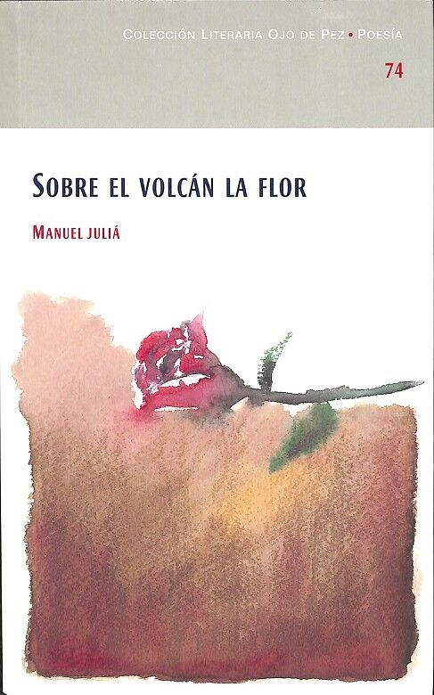 Sobre el Volcán la Flor