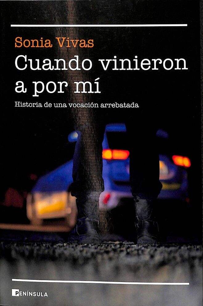 Cuando Vinieron a por Mí
