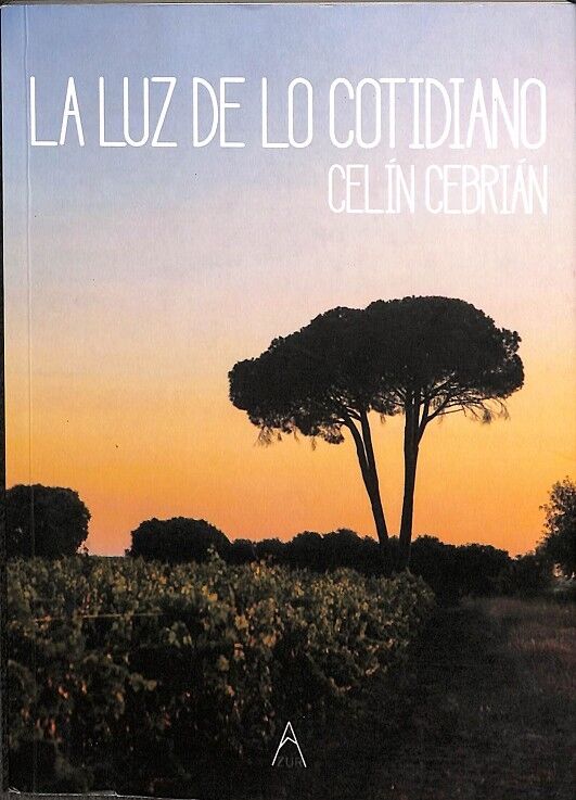 La Luz de Lo Cotidiano