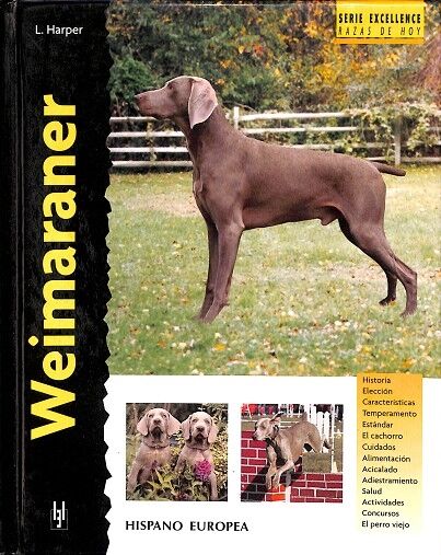 Weimaraner