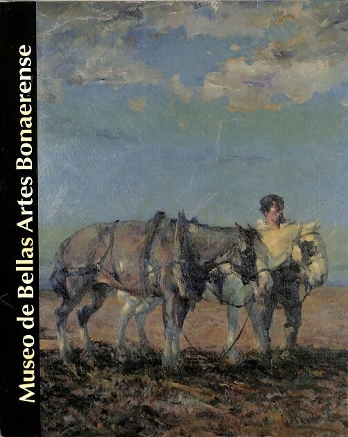Museo de Bellas Artes Bonaerense