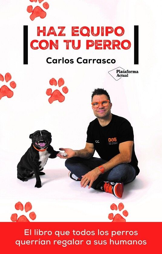 Haz Equipo con Tu Perro