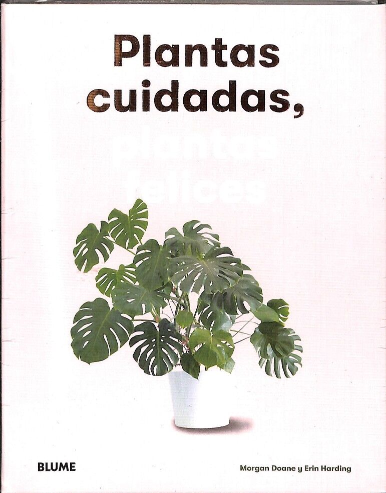 Plantas Cuidadas Plantas Felices