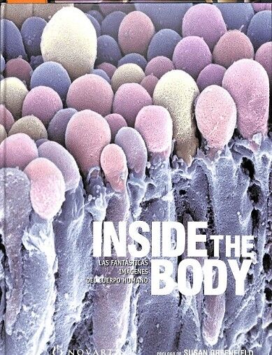 Inside The Body