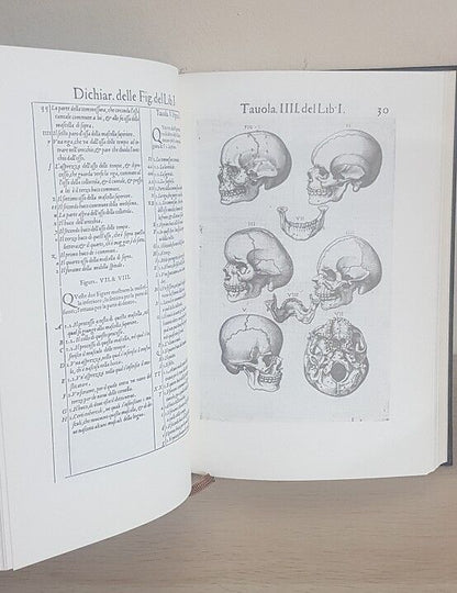Valverd Anatomi. Hiftoria Dell Anatomia (Facsimil)