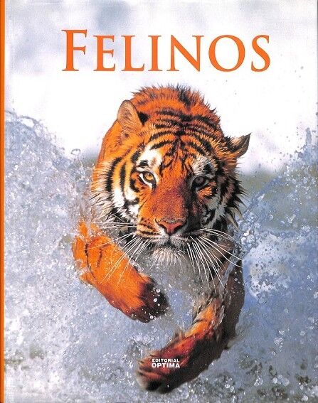 Felinos