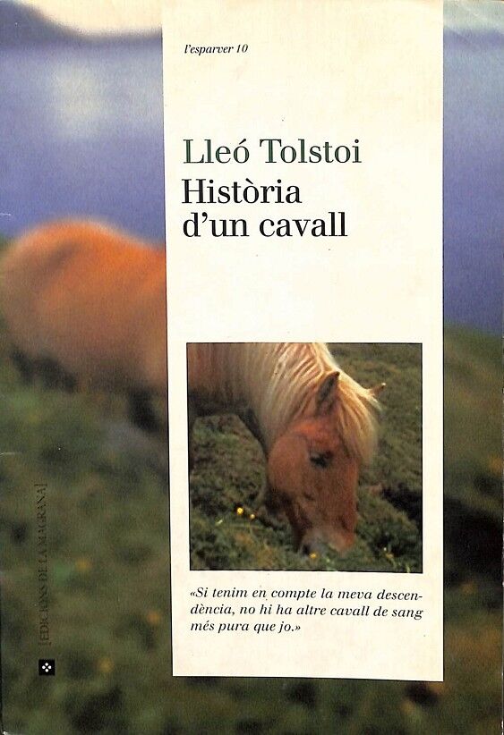 Història d'Un Cavall