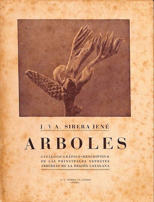 Arboles