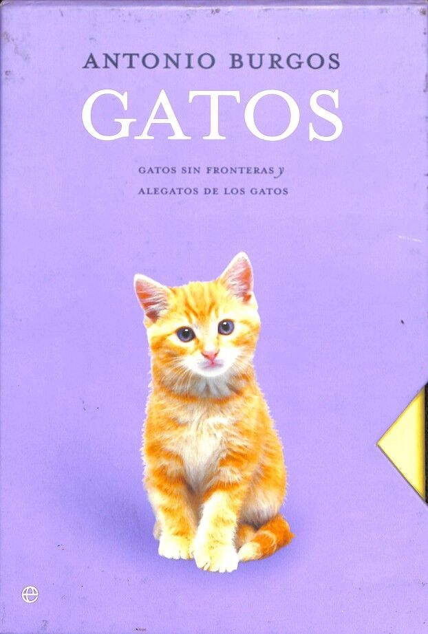 Gatos