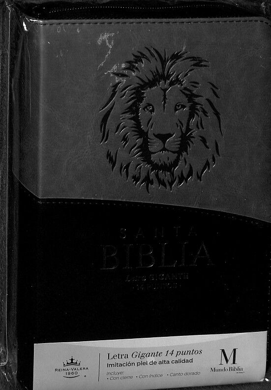 Santa Biblia. Concordancia - Reina-valera 1960 (Estuche Precintado)