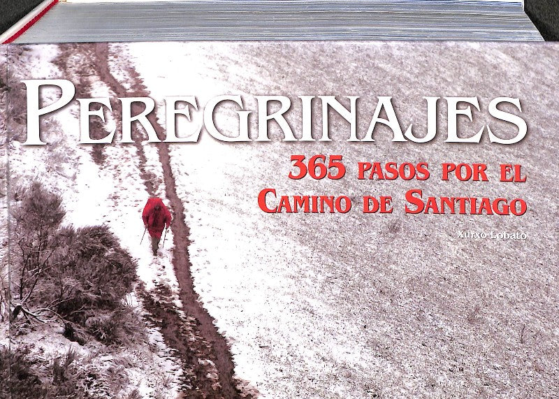 Peregrinajes. 365 Pasos por el Camino de Santiago