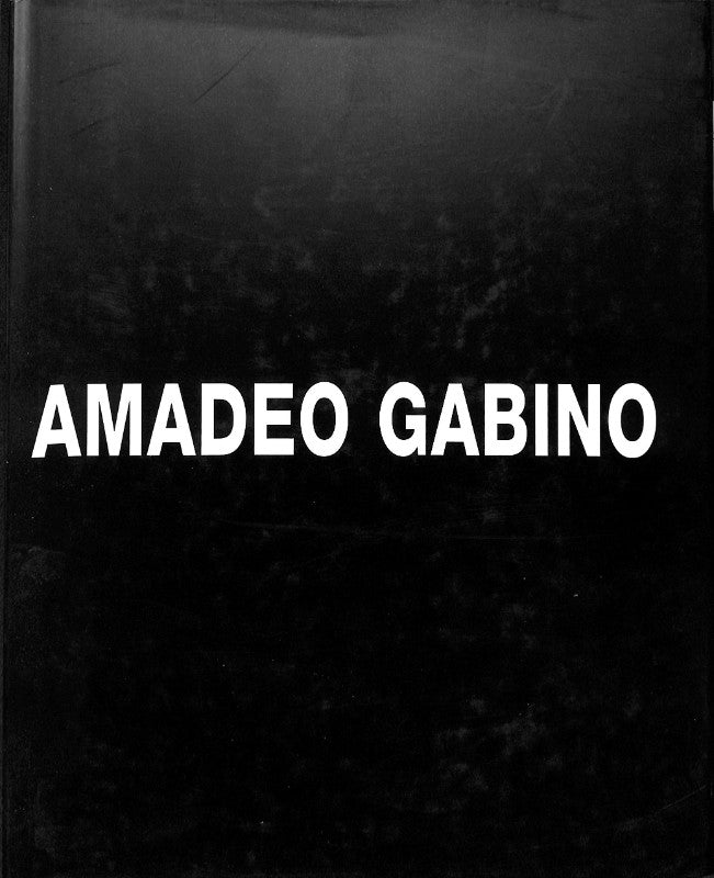 L' Univers D' Amadeo Gabino