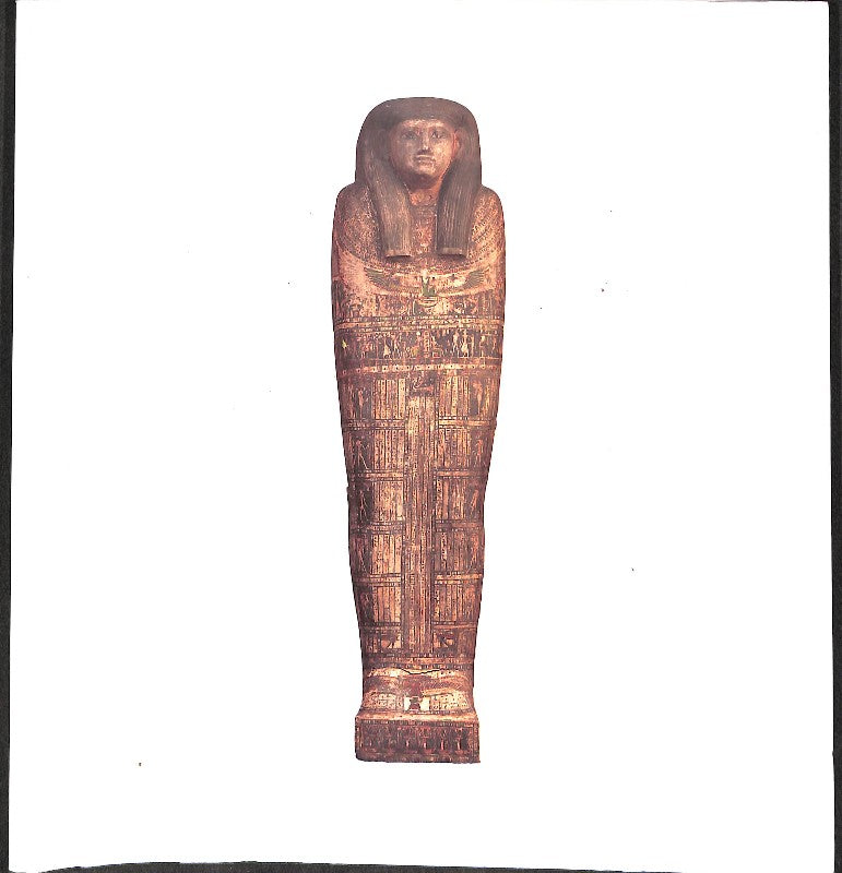 El Enigma de la Momia