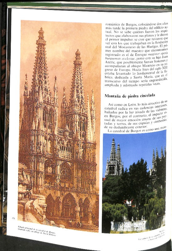 Camino de Santiago