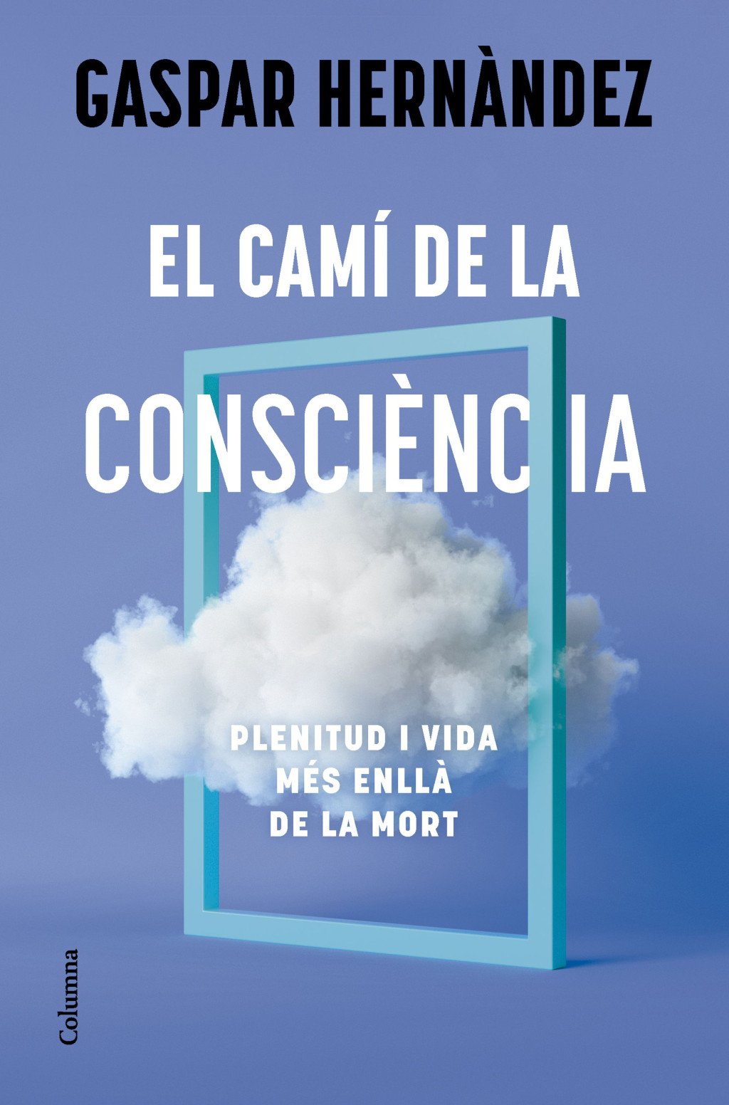 El Camí de la Consciència: Plenitud i vida Més Enllà de la Mort