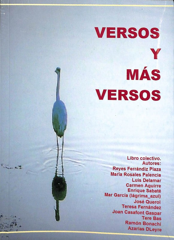 Versos y Más Versos