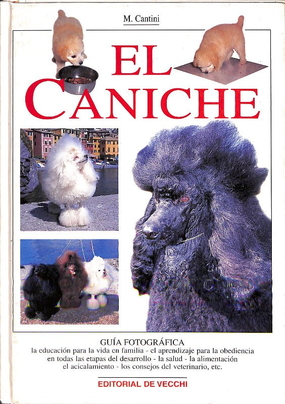 El Caniche: Guía Fotográfica