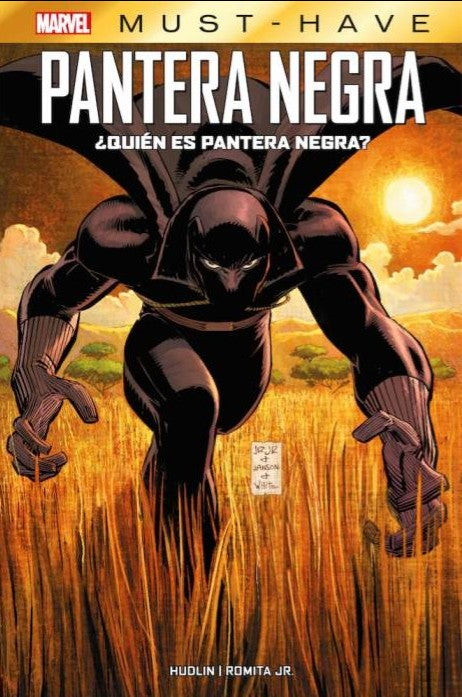 Pantera Negra: ¿Quién es Pantera Negra?