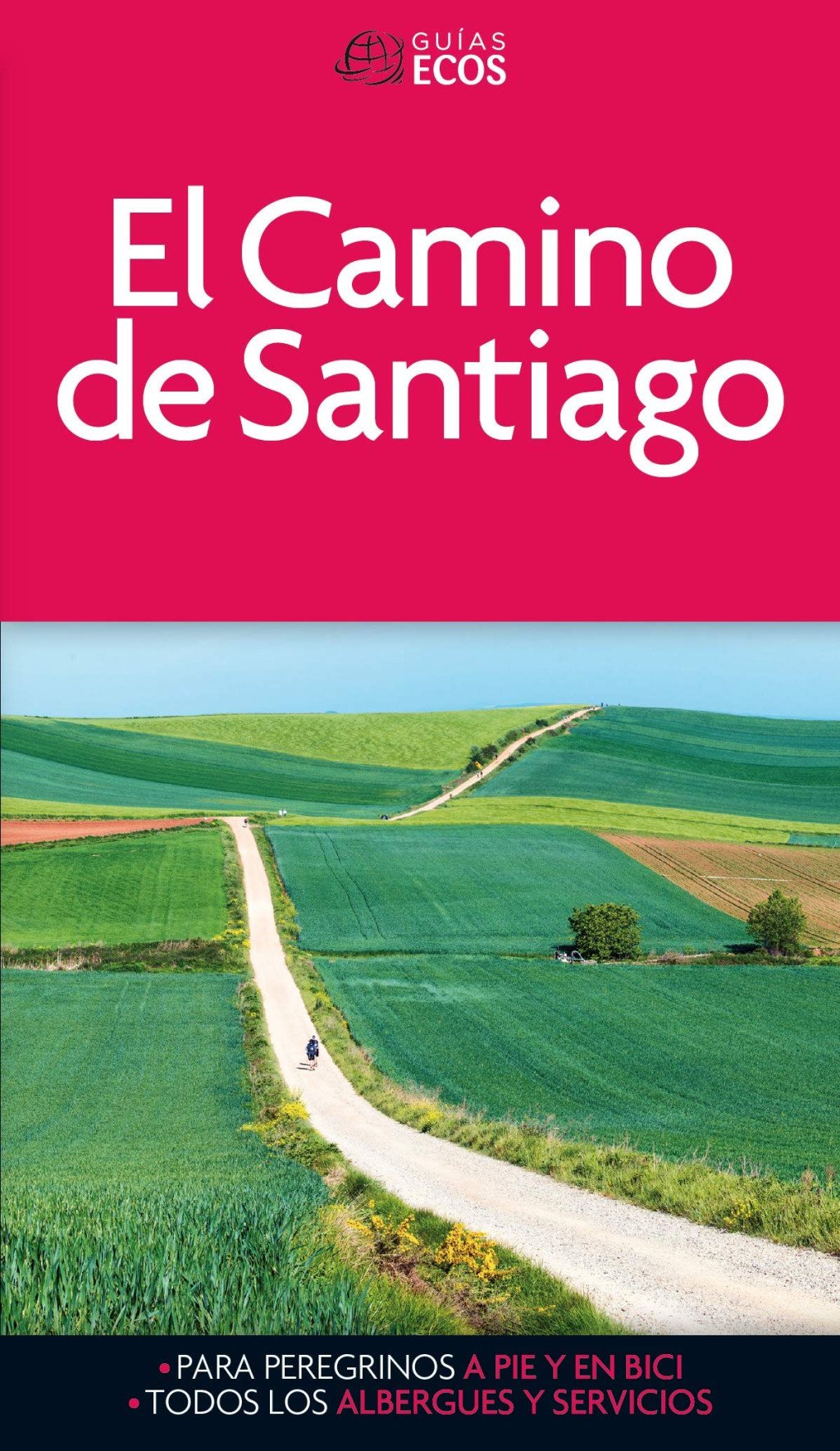 El Camino de Santiago