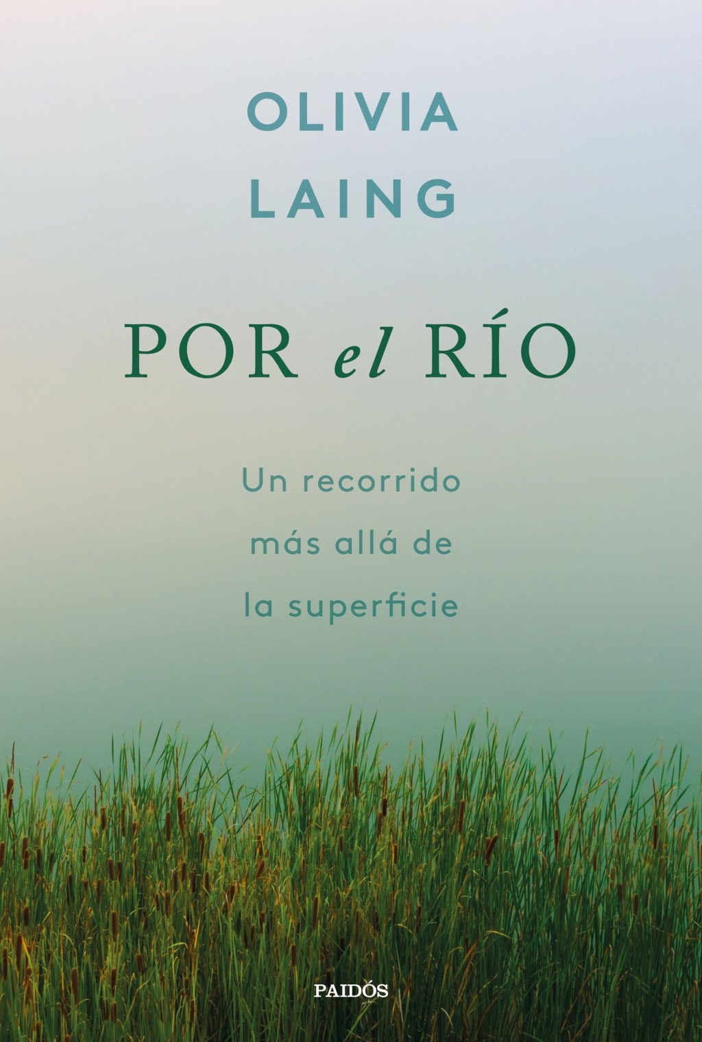 Por el Río: Un Recorrido Más Allá de la Superficie