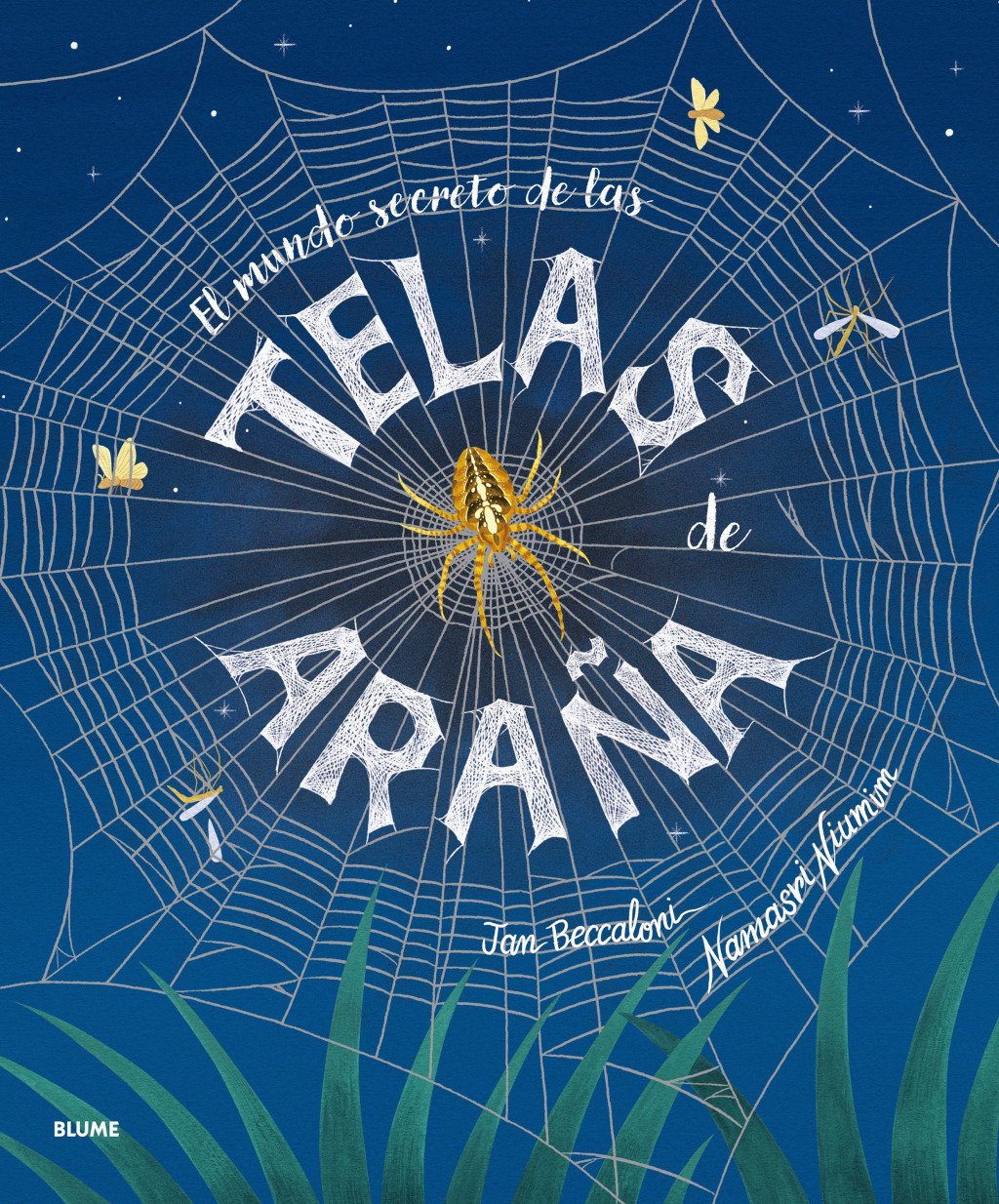 El Mundo Secreto de las Telas de Araña