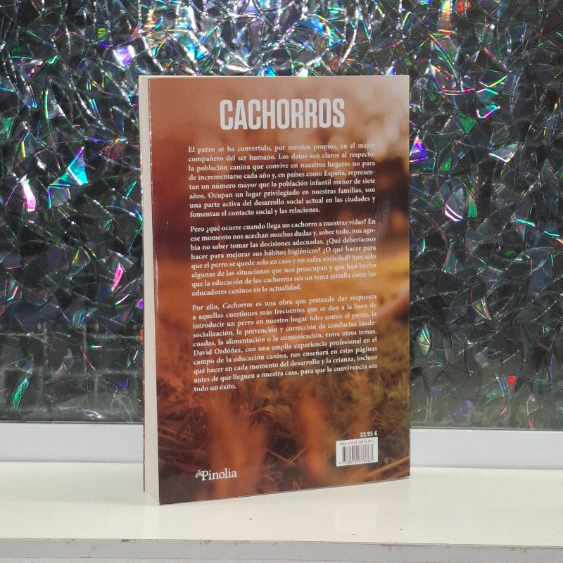 Cachorros