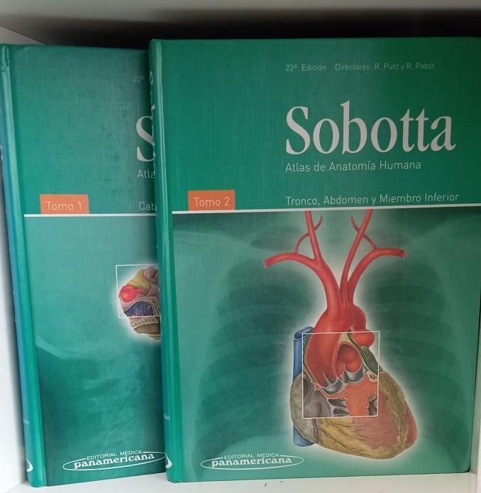 SOBOTTA ATLAS DE ANATOMÍA HUMANA 2 TOMOS | R.PUTZ Y R.PABST