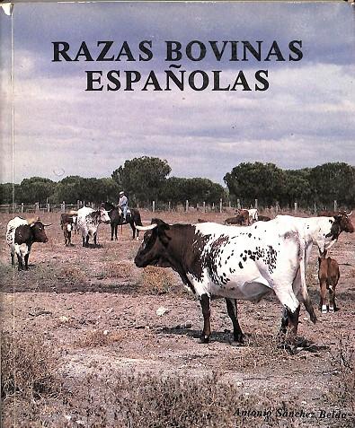 RAZAS BOVINAS ESPAÑOLAS | ANTONIO SANCHEZ  BELDA