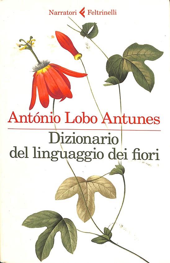 DIZIONARIO DEL LINGUAGGIO DEI FORI (ITALIANO) | ANTÓNIO LOBO ANTUNES