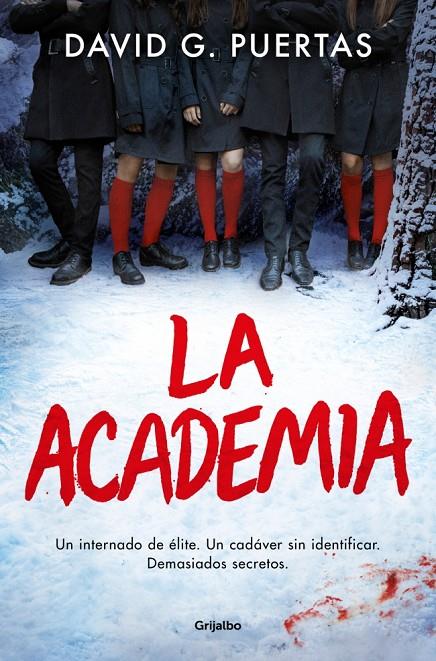 LA ACADEMIA | G. PUERTAS, DAVID