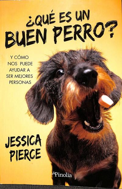 ¿QUÉ ES UN BUEN PERRO? | JESSICA PIERCE