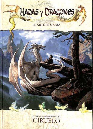 HADAS Y DRAGONES. EL ARTE ES MAGIA | V.V.A