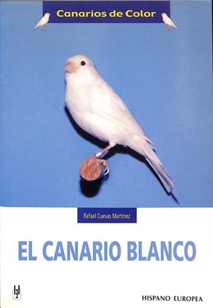 EL CANARIO BLANCO | RAFAEL CUEVAS 